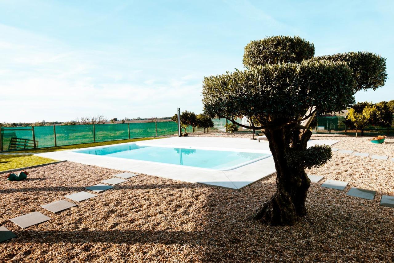Delmira Vineyard House Villa Águas de Moura Buitenkant foto